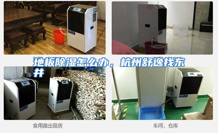 地板除湿怎么办,杭州舒逸找东井