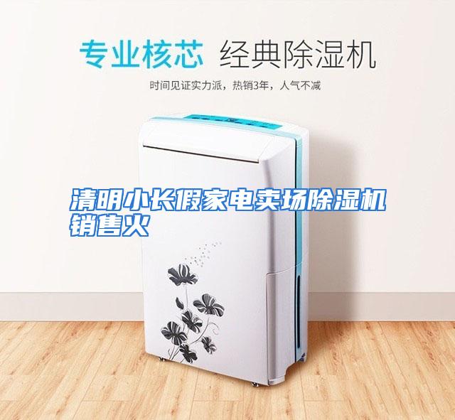 清明小长假家电卖场除湿机销售火