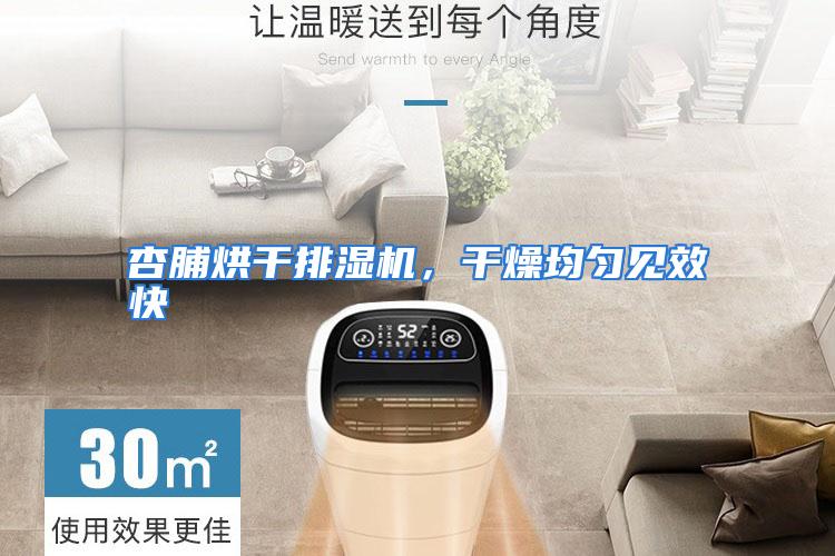 杏脯烘干排湿机，干燥均匀见效快