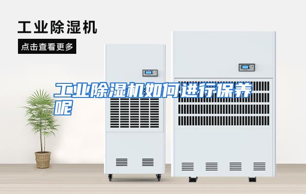 工业除湿机如何进行保养呢