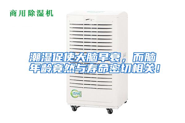 潮湿促使大脑早衰，而脑年龄竟然与寿命密切相关！