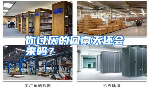 你讨厌的回南天还会来吗?