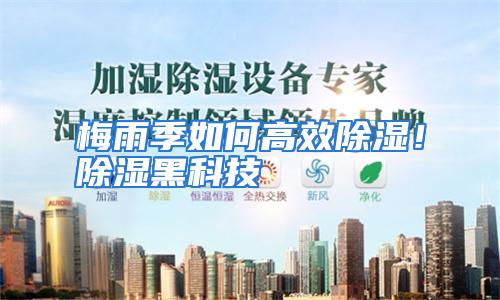 梅雨季如何高效除湿！除湿黑科技