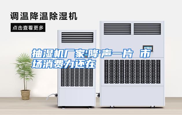 抽湿机厂家'降'声一片 市场消费力还在