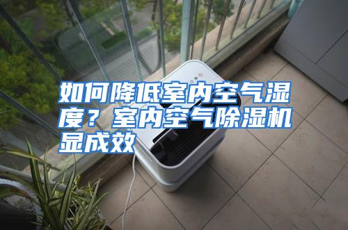 如何降低室内空气湿度?室内空气除湿机显成效