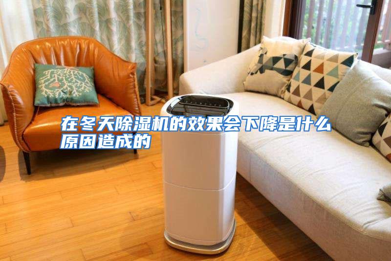 在冬天除湿机的效果会下降是什么原因造成的