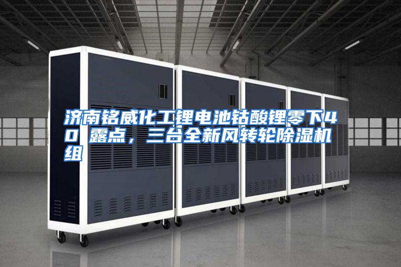 济南铭威化工锂电池钴酸锂零下40℃露点，三台全新风转轮除湿机组