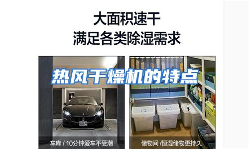 热风干燥机的特点