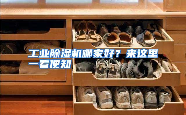 工业除湿机哪家好?来这里一看便知
