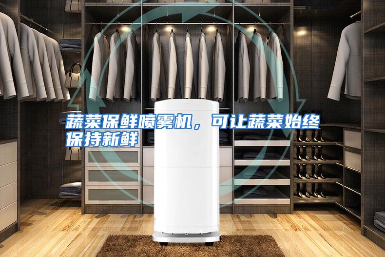 蔬菜保鲜喷雾机，可让蔬菜始终保持新鲜