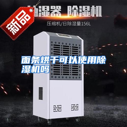 面条烘干可以使用除湿机吗