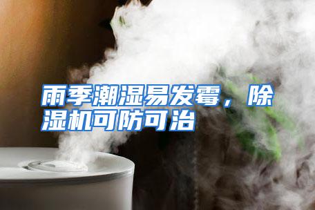 雨季潮湿易发霉,除湿机可防可治