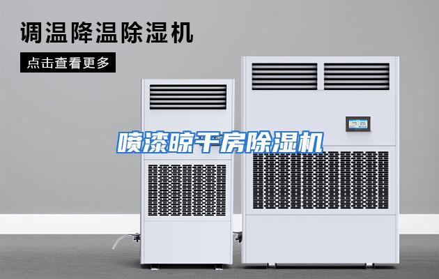 喷漆晾干房除湿机