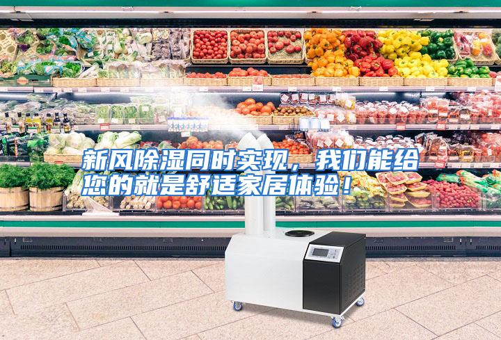 新风除湿同时实现，我们能给您的就是舒适家居体验！