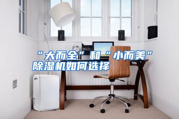 “大而全”和“小而美”除湿机如何选择