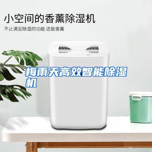 梅雨天高效智能除湿机