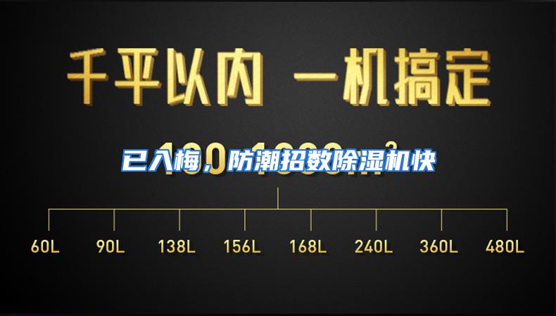 已入梅，防潮招数除湿机快