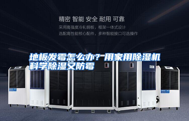 地板发霉怎么办?用家用除湿机科学除湿又防霉