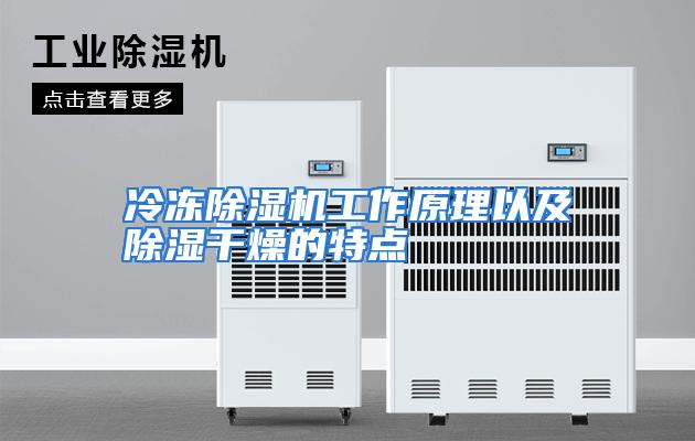 冷冻除湿机工作原理以及除湿干燥的特点