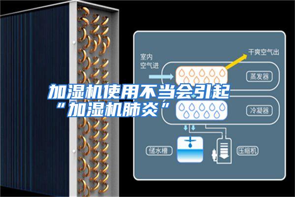 加湿机使用不当会引起“加湿机肺炎”