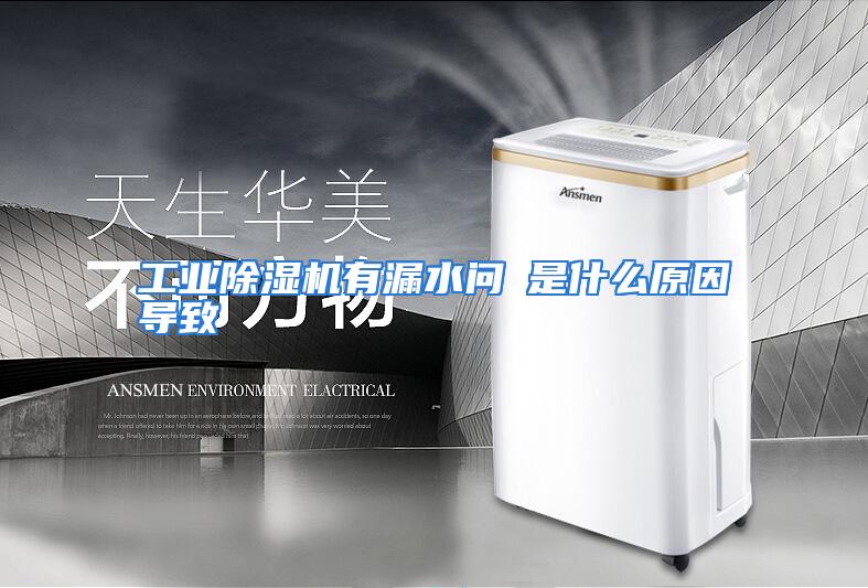 工业除湿机有漏水问題是什么原因导致