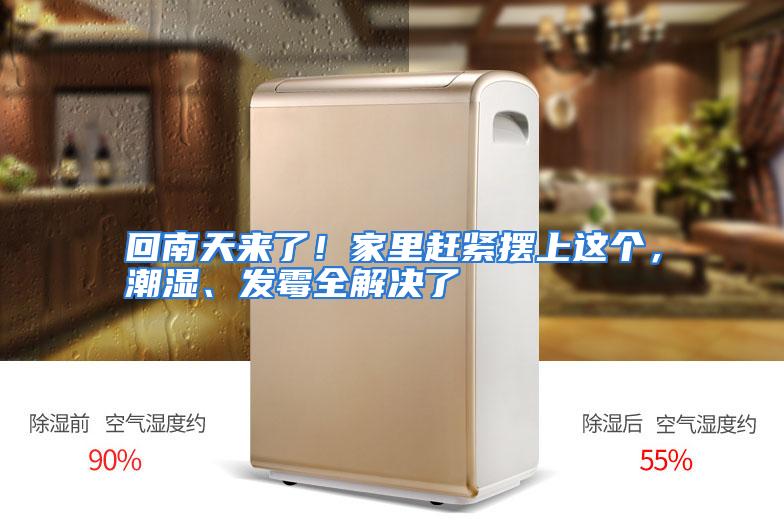回南天来了！家里赶紧摆上这个，潮湿、发霉全解决了