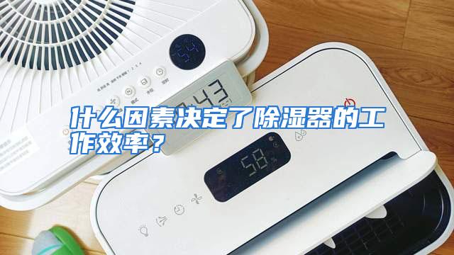 什么因素决定了除湿器的工作效率?