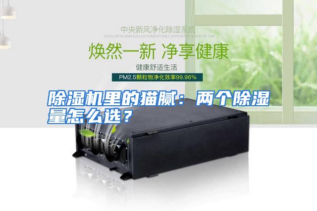 除湿机里的猫腻：两个除湿量怎么选？