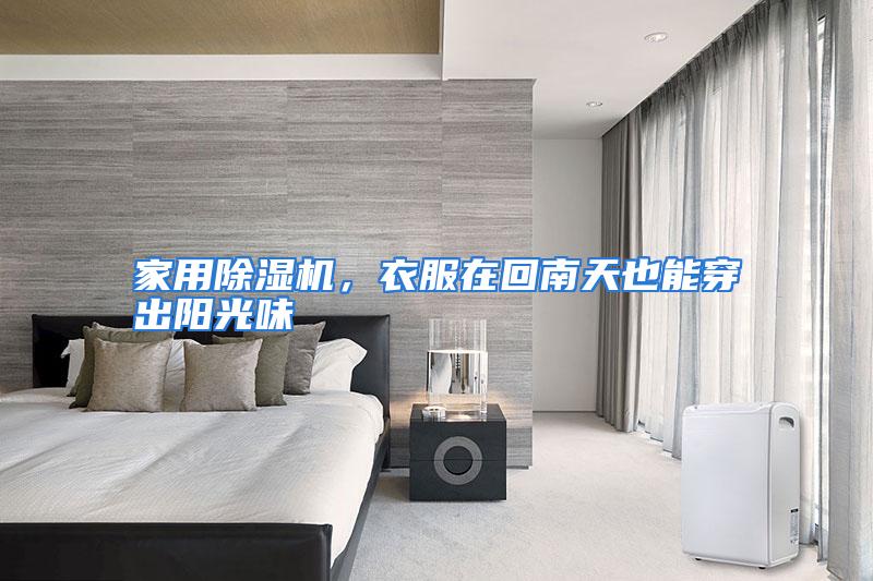 家用除湿机，衣服在回南天也能穿出阳光味