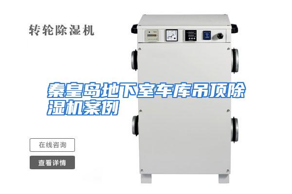 秦皇岛地下室车库吊顶除湿机案例