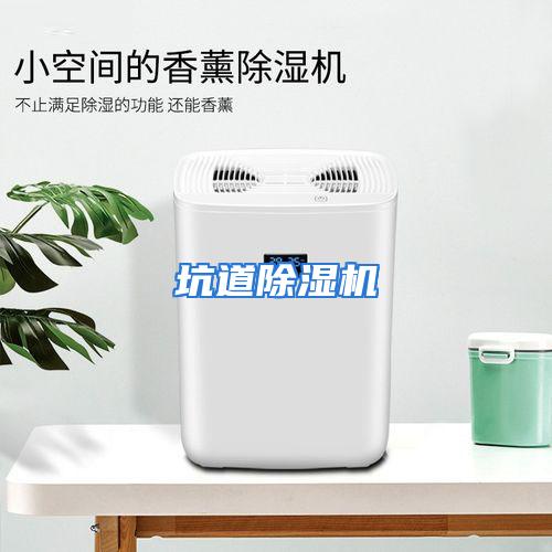 坑道除湿机