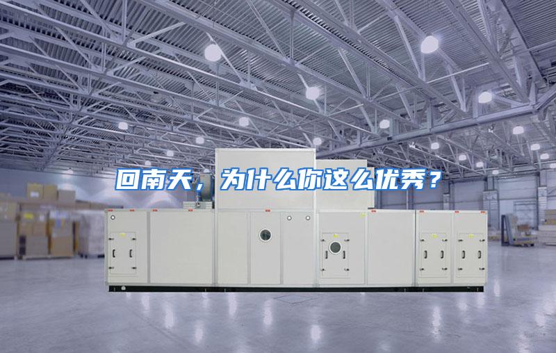 回南天，为什么你这么优秀？