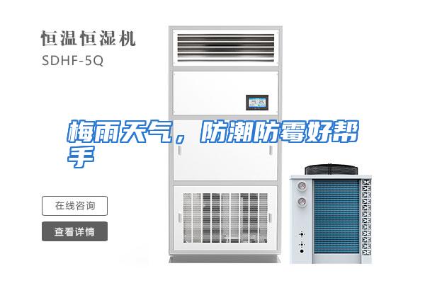 梅雨天气,防潮防霉好帮手