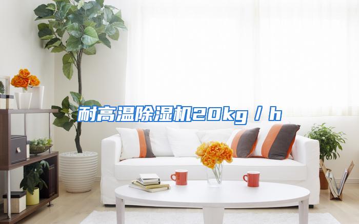 耐高温除湿机20kg／h