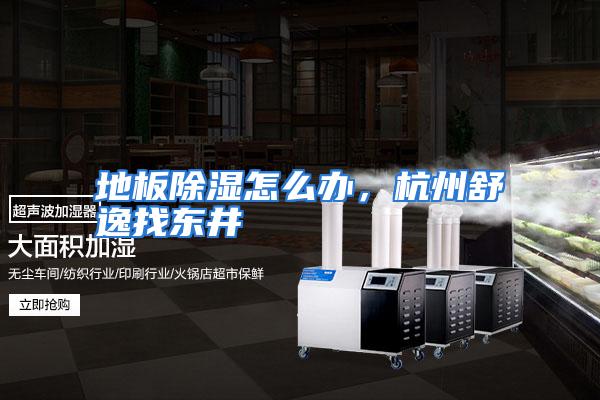 地板除湿怎么办,杭州舒逸找东井