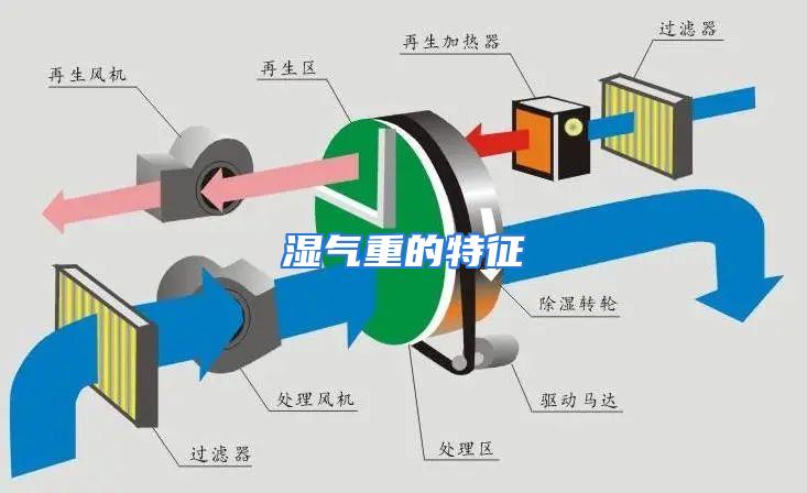 湿气重的特征