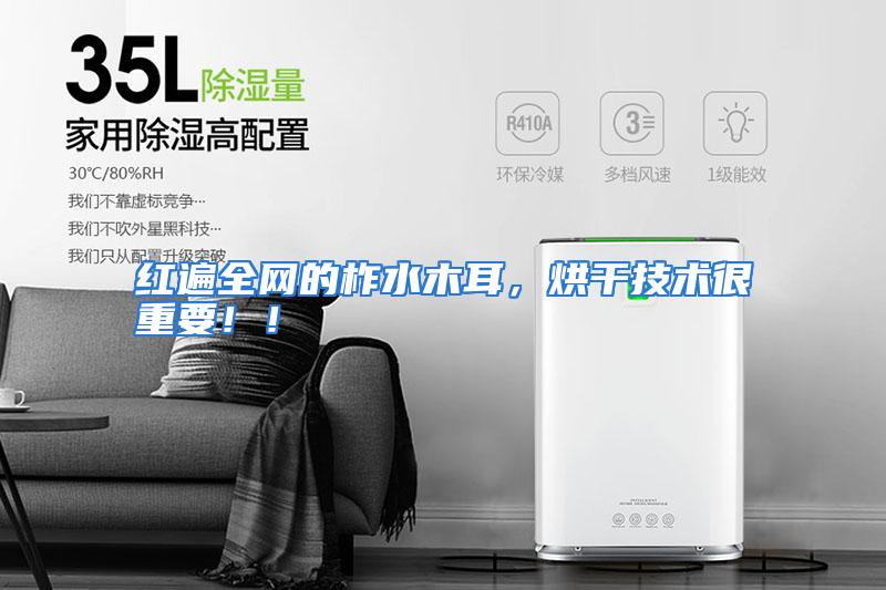红遍全网的柞水木耳，烘干技术很重要！！