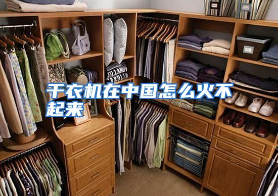干衣机在中国怎么火不起来