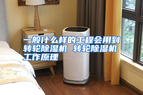 一般什么样的工程会用到转轮除湿机 转轮除湿机工作原理
