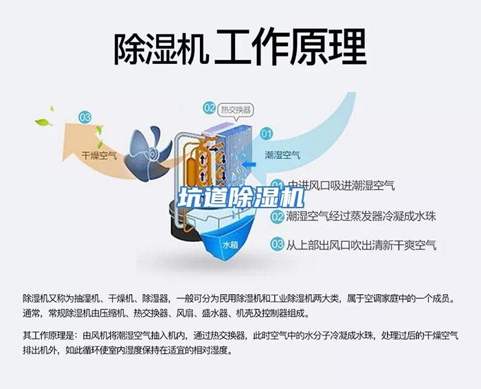 坑道除湿机