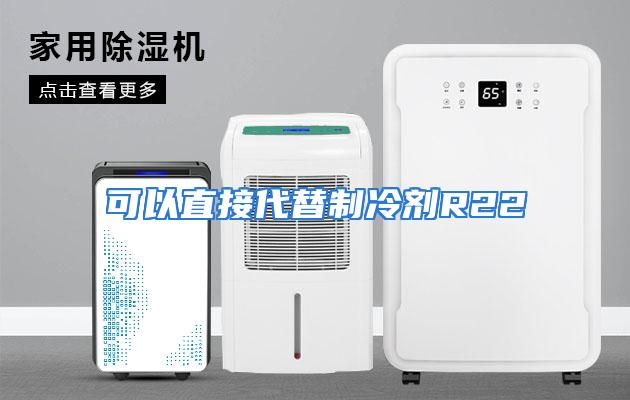 可以直接代替制冷剂R22