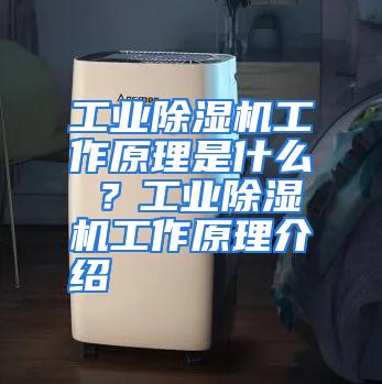 工业除湿机工作原理是什么 ？工业除湿机工作原理介绍