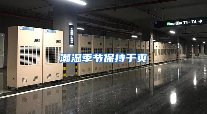 潮湿季节保持干爽
