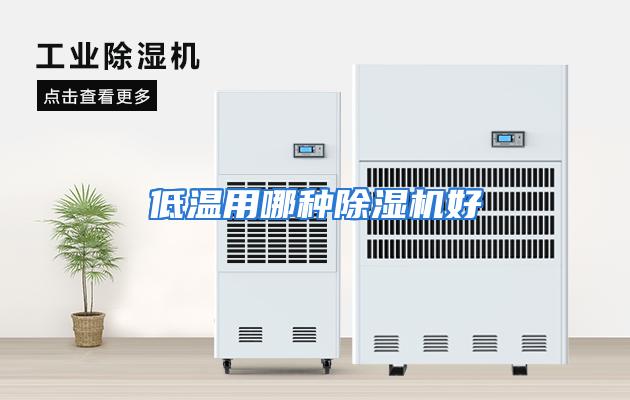 低温用哪种除湿机好