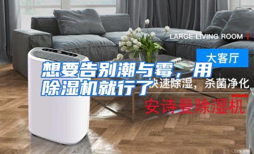 想要告别潮与霉,用除湿机就行了