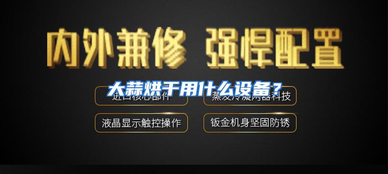 大蒜烘干用什么设备？