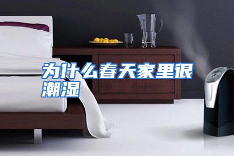 为什么春天家里很潮湿