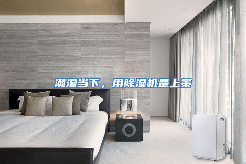 潮湿当下，用除湿机是上策