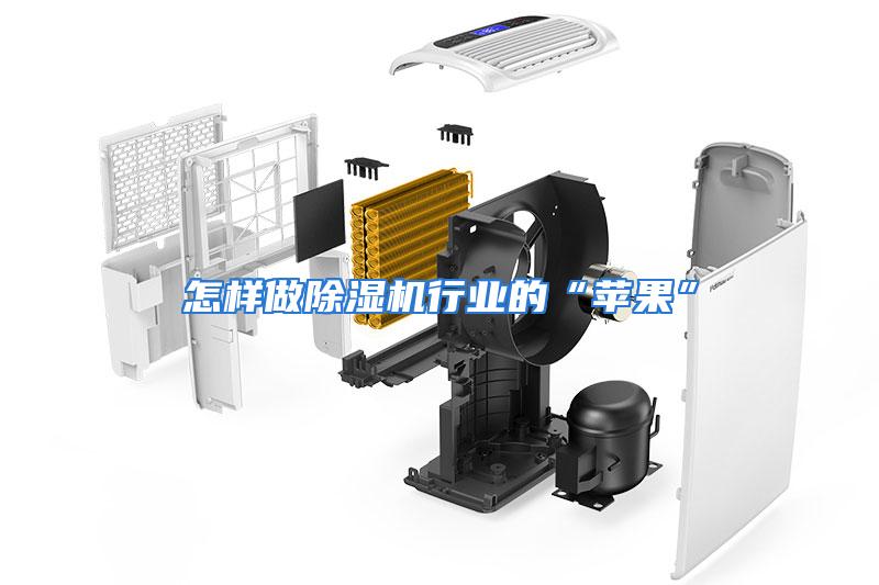 怎样做除湿机行业的“苹果”