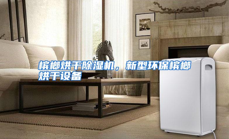 槟榔烘干除湿机，新型环保槟榔烘干设备